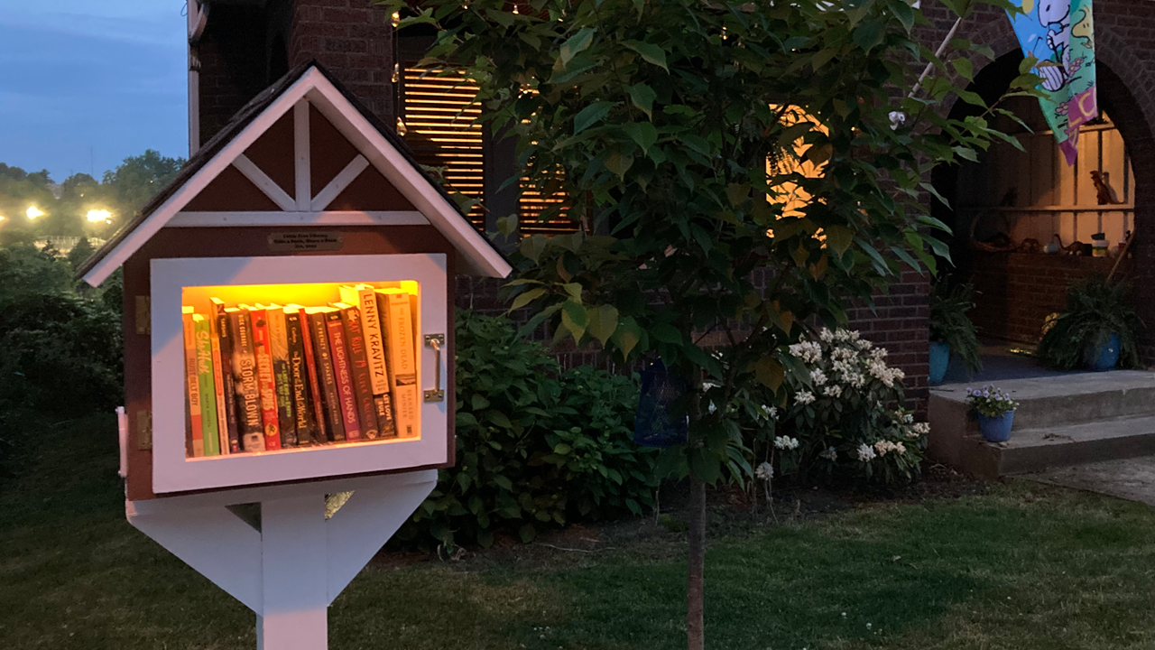 Building a Little Free Library!